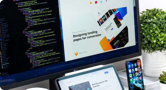 Custom Web Development